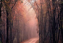 爱游戏ayx博彩 -门兴格拉德巴赫训练开放日，转会期豪取连胜引欢呼，CBA季后赛在即，纪律约束更严格的简单介绍